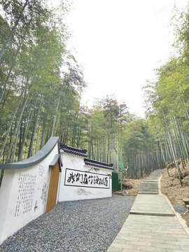 中國大竹海旅游區(qū)