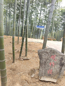 中國大竹海旅游區(qū)