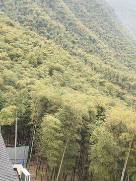 中國大竹海旅游區(qū)