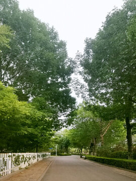 公園一隅