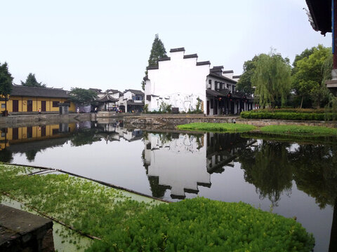 水鄉(xiāng)倒影