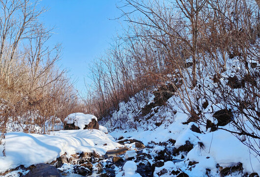 山中雪景