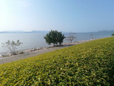 海邊