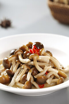 養(yǎng)生真姬菇