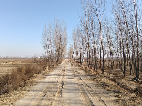 田間小路