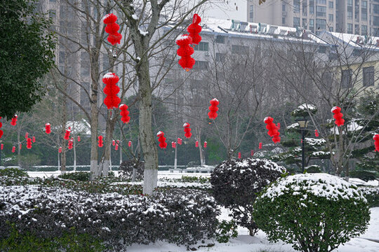 春節(jié)花燈
