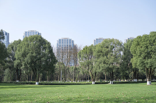 綠色的草坪樹木背后是現(xiàn)代化建筑