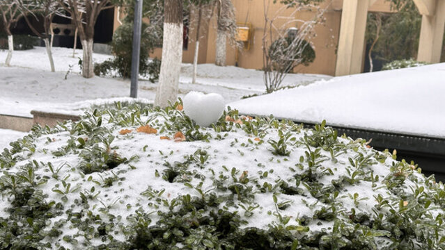 積雪