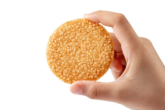 烘烤類糕點(diǎn)芝麻蛋片