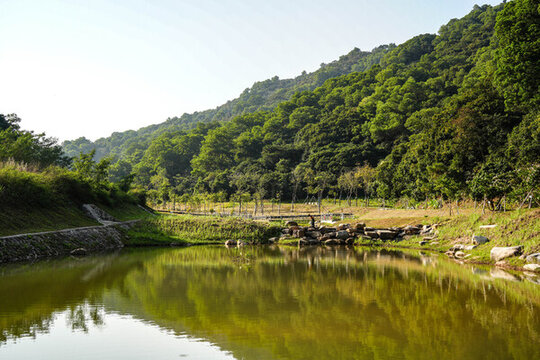 深圳光明郊野公園
