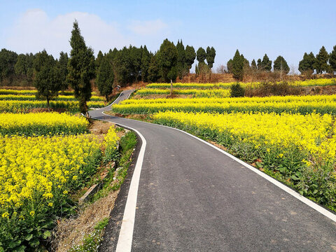 鄉(xiāng)村公路