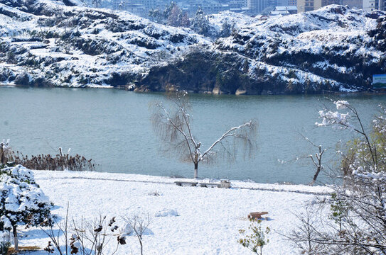 美麗雪景