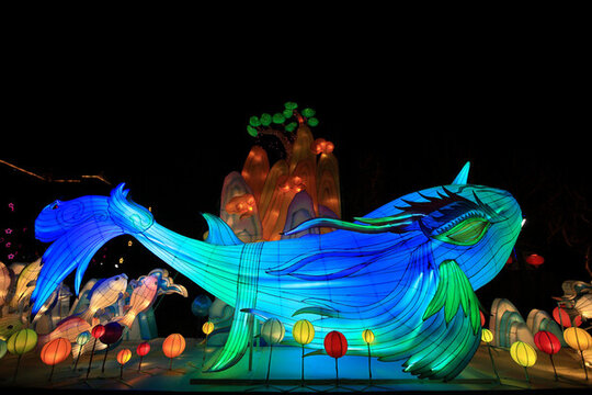 沈陽(yáng)碧塘公園春節(jié)花燈展