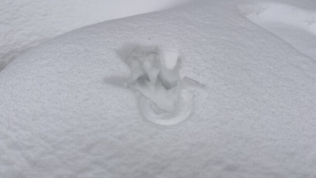 積雪