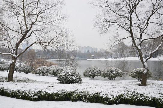 黃河公園雪景