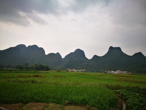 田園山野