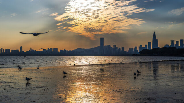 深圳灣黃昏