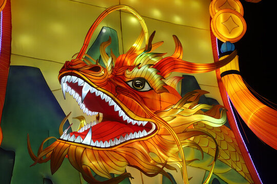 龍?zhí)ь^