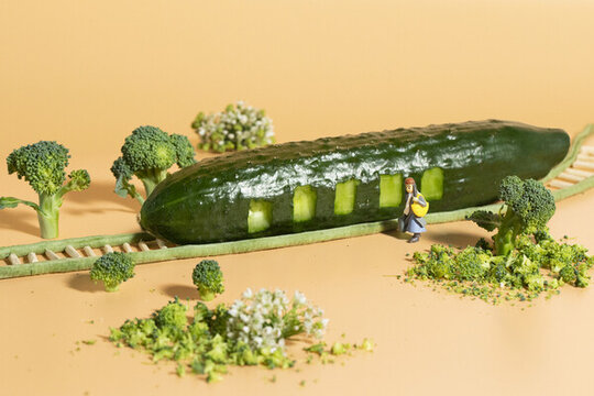 蔬菜创意摄影