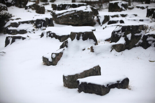 雪中巖石