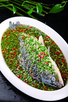 山椒魚