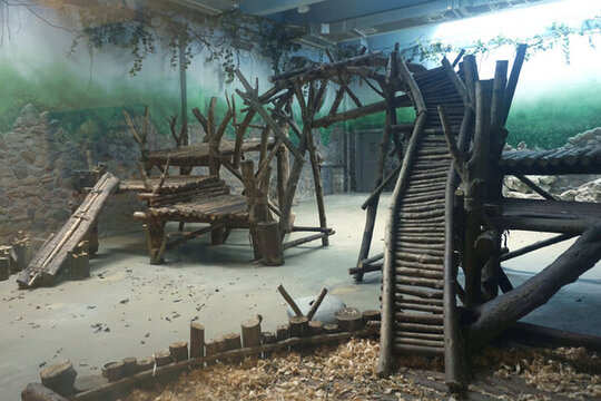 成都大熊貓基地熊貓別墅內(nèi)景