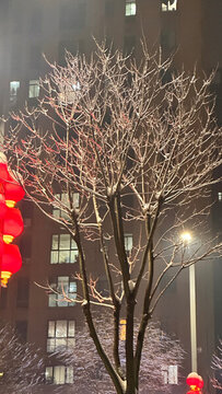 凍雨