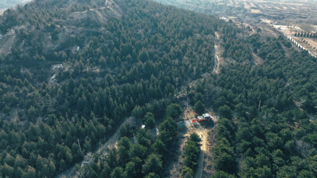 青山綠樹