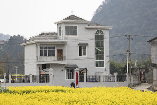 貴州安順鮑家屯油菜花開(kāi)