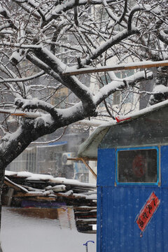 吉林市冬季雪景雾凇