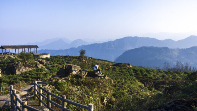 李家山茶園