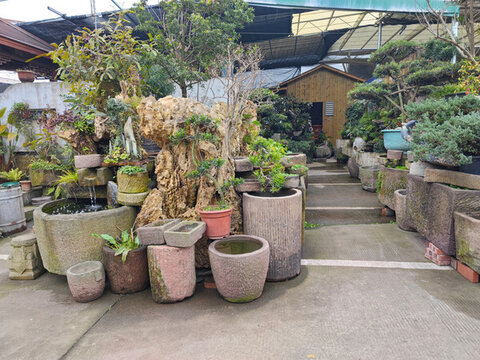 園林綠植花卉