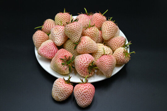 淡雪白草莓新鲜水果