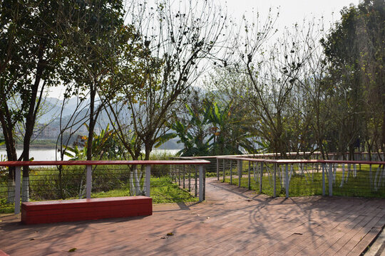 公園風(fēng)景