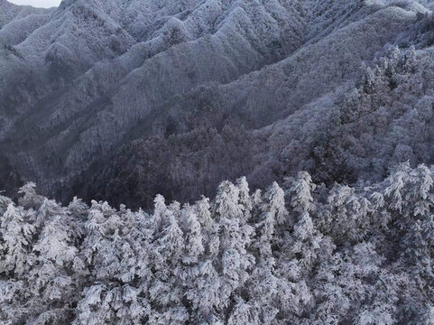 秦嶺雪景