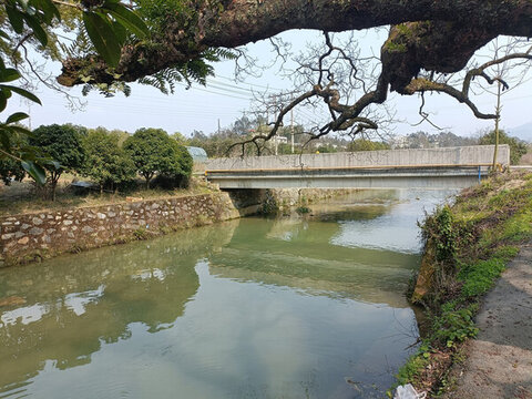 小河石板橋