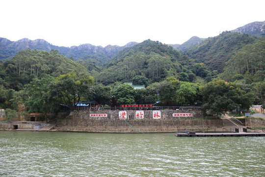 清遠(yuǎn)千年寺紫竹林
