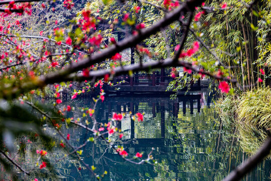 棠湖公園