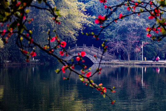 棠湖公園