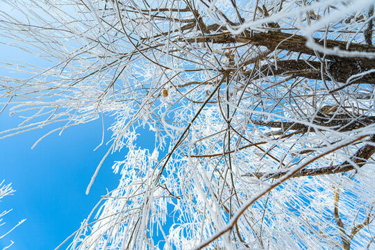 漂亮树挂冬季雪景农村雪景