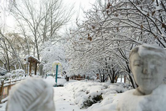 大雪中的樹掛雪景城市自然風光