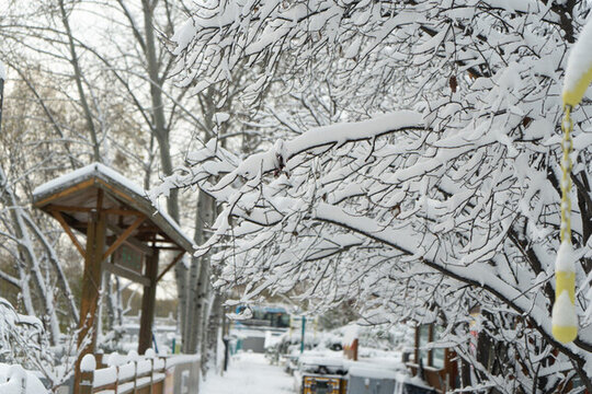 大雪中的樹掛雪景城市自然風光