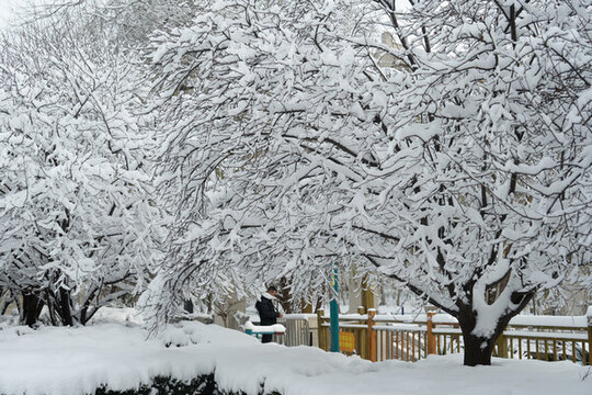 大雪中的樹掛雪景城市自然風光