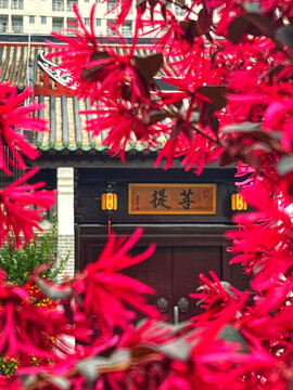 光孝寺