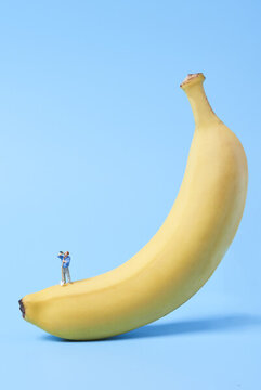 香蕉创意拍摄