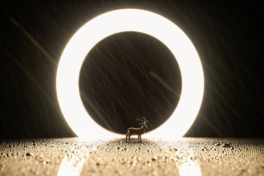 微缩创意圆形灯下的暴风雨中的鹿