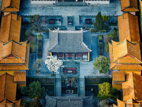 杭州臨安天目山禪源寺的白玉蘭
