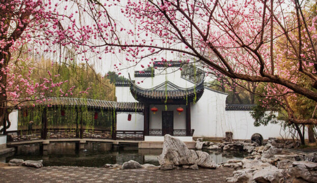 梅花與徽派建筑