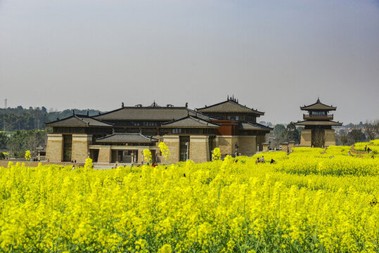 油菜花與古建筑