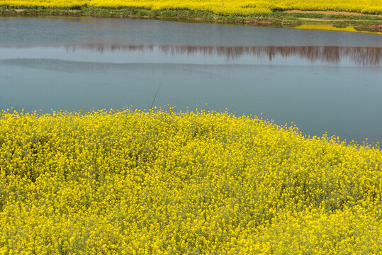 開(kāi)滿(mǎn)鮮花的河流